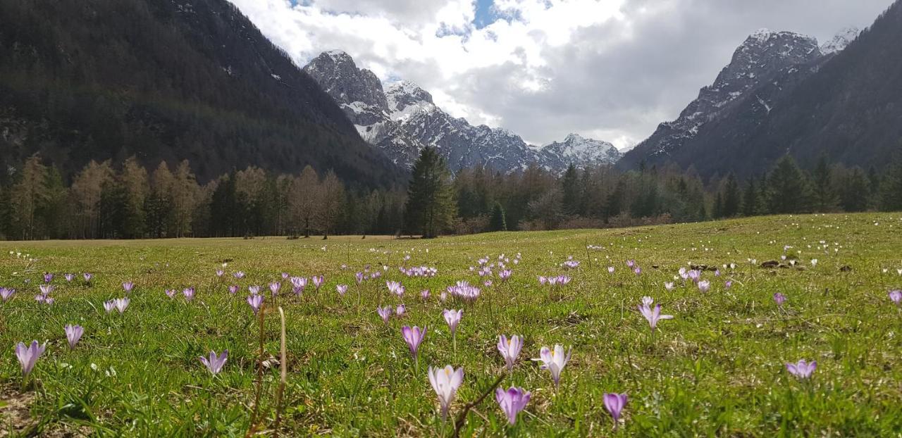 The Oldmillhouse Villa Mojstrana Eksteriør billede