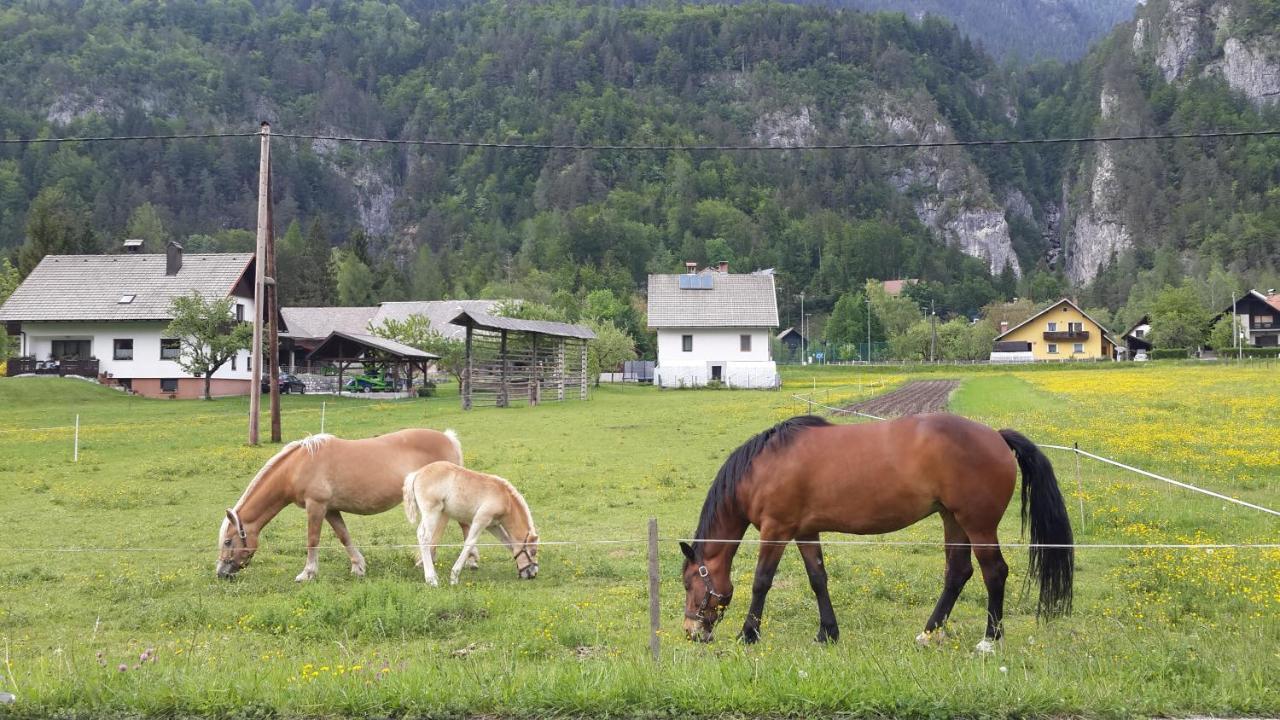 The Oldmillhouse Villa Mojstrana Eksteriør billede